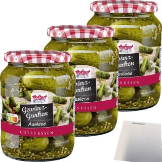 Hofgut Gewuerzgurken 3er Pack (3x720ml Glas) + usy Block