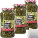 Hofgut Grünkohl gerupft 3er Pack (3x720ml Glas) +...