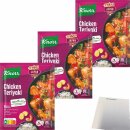 Knorr Fix Chicken Teriyaki 3er Pack (3x40g Beutel) + usy Block