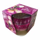 Glade Duftkerze Winterlicher Beerentraum Kerze 3er Pack (3x120g Stück) + usy Block