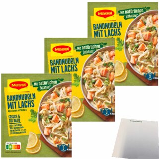 Maggi Fix Bandnudeln mit Lachs 3er Pack (3x40g Packung) + usy Block