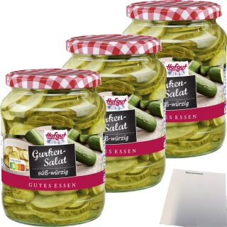 Hofgut Gurkensalat 3er Pack (3x720ml Glas) + usy Block