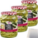 Hofgut Gurkensalat 3er Pack (3x720ml Glas) + usy Block