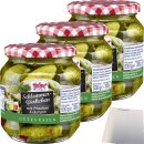 Hofgut Schlemmergürkchen mit Kräutern 3er Pack (3x580ml Glas) + usy Block