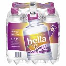 hella near water mango picchu (6x0,75 l) VPE