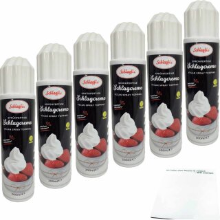 Schlagfix sprühfertige Schlagcreme 6er Pack (6x200ml Flasche) + usy Block