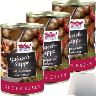 Hofgut Gulasch-Suppe 3er Pack (3x400ml Dose) + usy Block