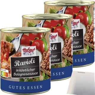 Hofgut Ravioli Bolognese 3er Pack (3x800ml Dose) + usy Block
