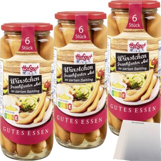 Hofgut Frankfurter Würstchen im Saitling 3er Pack (3x6/250g Glas) + usy Block