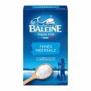 La Baleine Meersalz fein VPE (20x500g Packung) + usy Block
