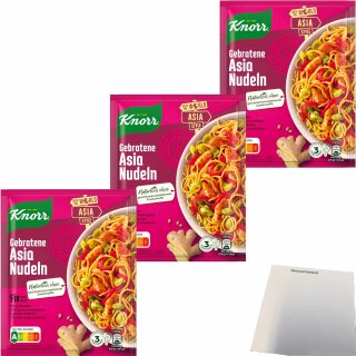 Knorr Fix Gebratene Asia Nudeln 3 Portionen 3er Pack (3x30g Packung) + usy Block