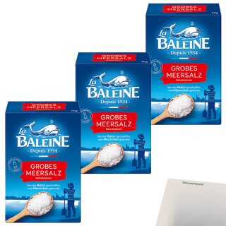 La Baleine Meersalz grob 3er (3x1000g Packung) + usy Block