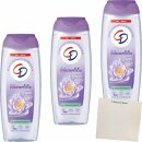 CD Feuchtigkeitsdusche Wasserlilie 3er Pack (3x300ml Flasche) + usy Block