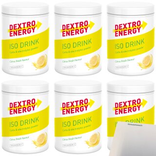 Dextro-Energy Iso Drink Citrus VPE (6x6x440g Dose) + usy Block