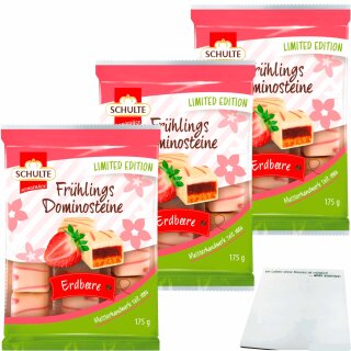Schulte Frühlings Dominosteine Erdbeere 3er Pack (3x175g Packung) + usy Block