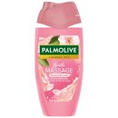 Palmolive Gentle Massage (250ml Flasche)