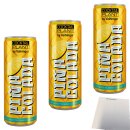 Cocktail Plant Pina Colada 10% 3er Pack (3x0,25l Dose) + usy Block