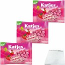 Katjes Family Glücksherzen Erdbeerliebe 3er Pack (3x300g Beutel) + usy Block