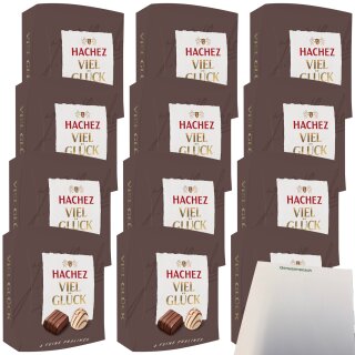Hachez Schokolade Viel Glück VPE (12x40g Packung) + usy Block