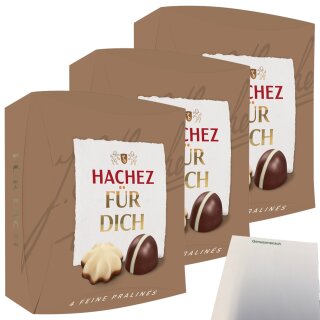 Hachez Schokolade Pralinenmischung Für Dich 3er Pack (3x40g Packung) + usy Block