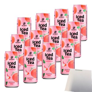 Mr. Brown Iced Tea Pfirsich (12x0,32L Dose) + usy Block