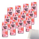 Mr. Brown Iced Tea Pfirsich (12x0,32L Dose) + usy Block