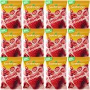 Seeberger Gefriergetrocknete Erdbeeren (12x15g Beutel) VPE
