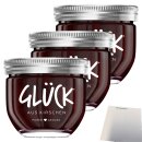Glück Aus Kirschen 3er Pack (3x230g Glas) + usy Block