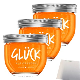 Glück Fruchtaufstrich aus Orangen 3er Pack (3x230g Glas) + usy Block