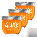 Glück Fruchtaufstrich aus Orangen 3er Pack (3x230g Glas) + usy Block