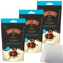 Baileys Schokolade Mini Delights Salted Caramel 3er Pack (3x102g Beutel) + usy Block