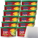 Santa Maria Dip Nacho Tex Mex Style VPE (12x240ml Dose) + usy Block