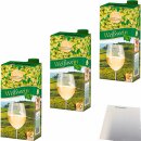 Rebenthaler Weißwein Tetra-Pak 9,5% Vol 3er Pack (3x1l Pack) + usy Block