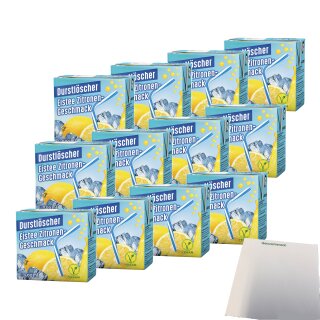 Durstlöscher Eistee Zitrone VPE (12x0,5L Packung) + usy Block