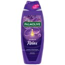 Palmolive Schaumbad Memories of Nature Sunset Relax VPE...