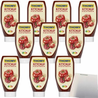 Thomy Ketchup aus 1kg Tomaten VPE (10x500ml Flasche) + usy Block