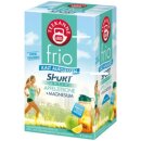 Teekanne frio Sport Apfel Zitrone Magnesium 3er Pack...