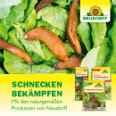 Neudorff Ferramol Schneckenkorn VPE (12x200g Packung) + usy Block
