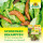 Neudorff Ferramol Schneckenkorn VPE (12x200g Packung) + usy Block