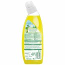 Frosch Zitronen WC-Reiniger VPE (10x750ml Flasche)