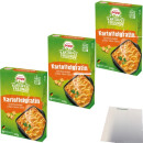 Popp Kartoffelgratin 3er Pack (3x500g Packung) + usy Block