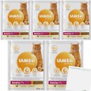 IAMS Senior Katzen mit Huhn VPE (5x800g Beutel) + usy Block