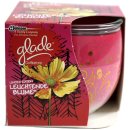 Glade by Brise Duftkerze Limited Edition Leuchtende Blume...
