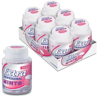 Wrigleys Extra Professional Mints Waldfrucht (6x70 Stck.)