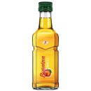 Berentzen Apfel 18% Vol, (12x100ml Flasche)