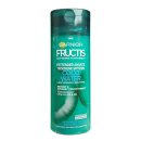 Garnier Fructis Shampoo Coco Water (1x250ml Flasche)