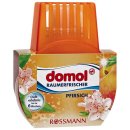 domol Raumerfrischer Pfirsich 75ml