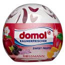 domol Raumerfrischer Sweet Fruits 100ml