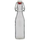 flink sauber Bügelflasche 250 ml 1St