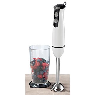 Rossmann ideenwelt Stabmixer 1St